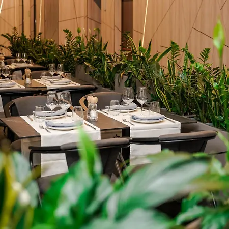 Starlight 호텔 티라나